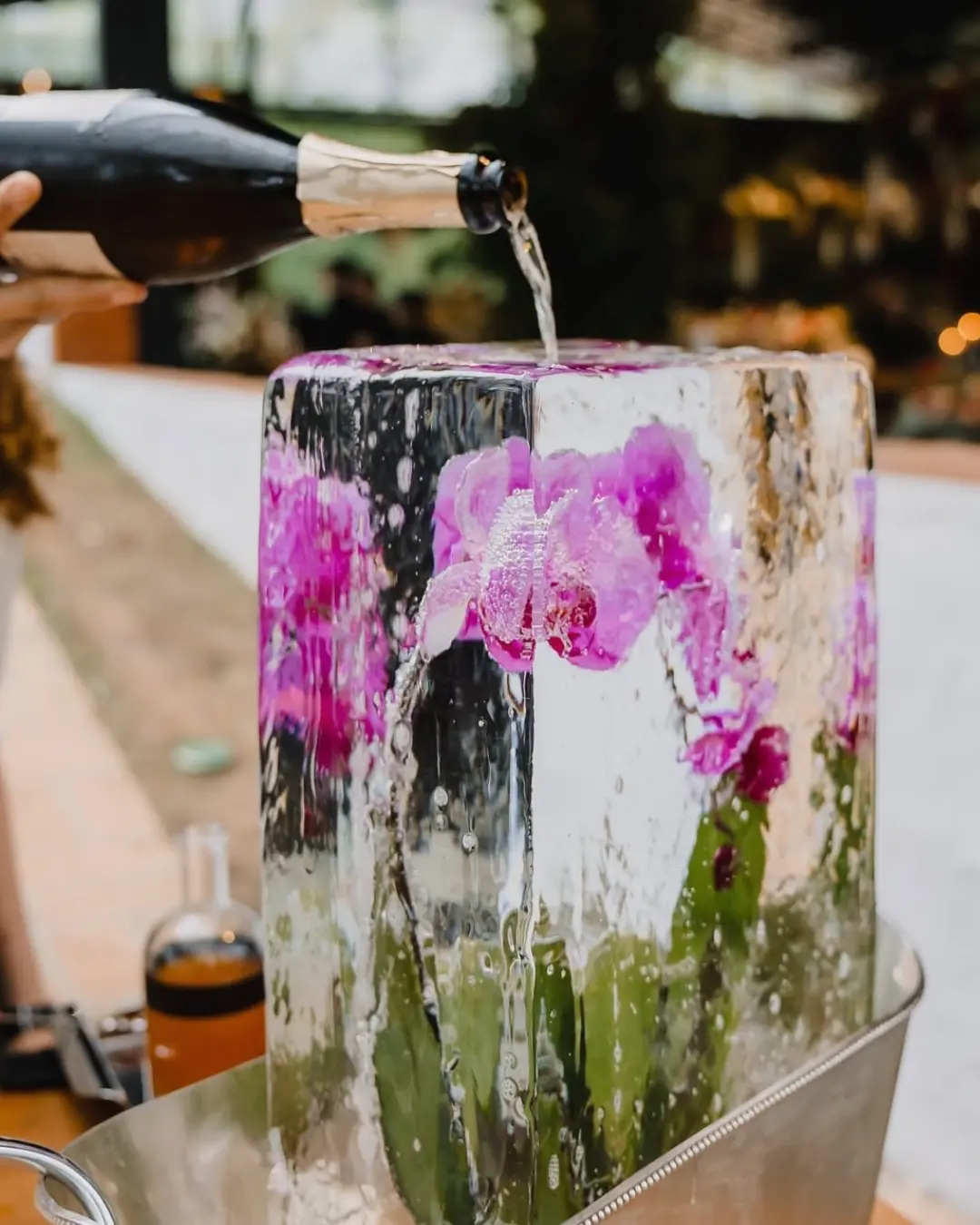 Welcome Drinks